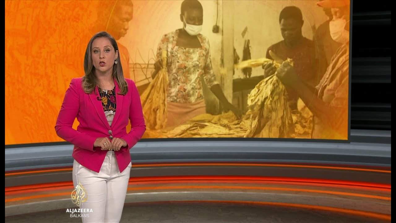Al Jazeera Svijet: Inflacija u Zimbabveu 800 posto (Video)